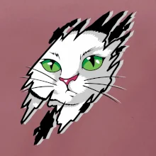 Kočka v roztrženém triku