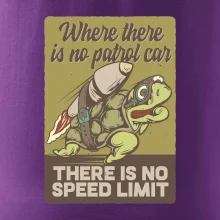 Korytnačka na cestách