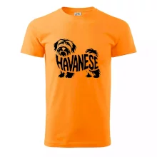Havanese nápis v tele