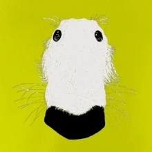 Barzoj čumák (Moňas)