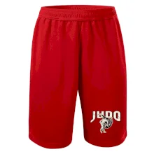 Judo v boji Judo v boji