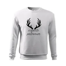 Harry - Expecto patronum Harry - Expecto patronum