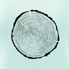 Letokruhy 40 bez veku Letokruhy 40 bez veku