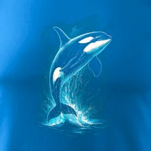 Obrázok Kosatka v skoku