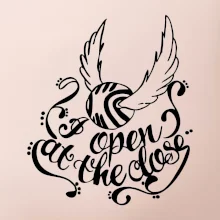 Harry - Zlatá strela