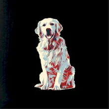 Zlatý retriever vintage