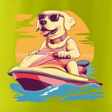 Zlatý retriever na vodnom skútri