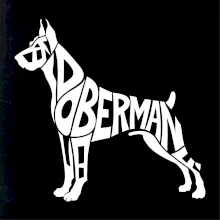 Doberman - nápis v tele Doberman - nápis v tele