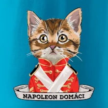 Napoleon domáci mačka Napoleon domáci mačka