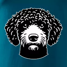 Lagotto romagnolo hlava na prsníku