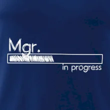 In progress titul Mgr. magister / magistra