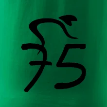 Cyklista oslavuje sedemdesiatpäťpäťky (75)