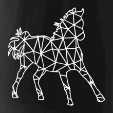 Geometria - kôň Geometria - kôň
