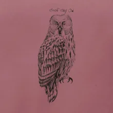 Sova bradatá Barred owl