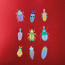 Farebné chrobáky (studio-arte.cz)