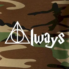 Harry - Always Harry - Always