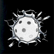 Florbal lopta v triku