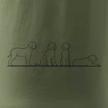 Lagotto romagnolo postavy linka