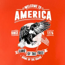 Welcome To America Welcome To America