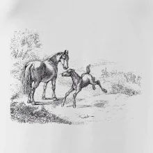Kôň a žriebä maľované
