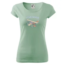 Československo lietadlo (Pecka design)