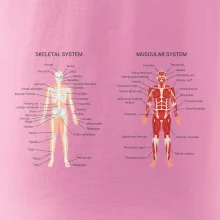 Skelet and Moscular system Skelet and Moscular system