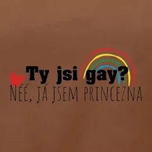 Gay princezna