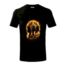 Obrázok poltón bloodhound