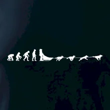 Evolúcia psie záprahy