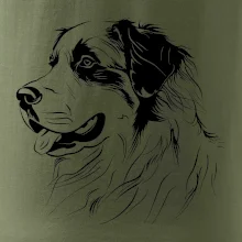 Bernský salašnícky pes čierna kresba