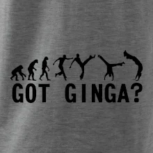 Capoeira - Got Ginga