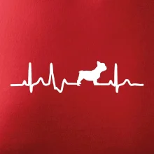 EKG Francouzský buldoček z boku