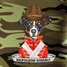 Napoleon domáci kríženec