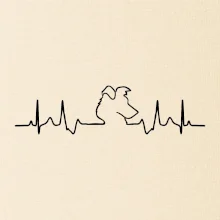 Borderská kólia EKG