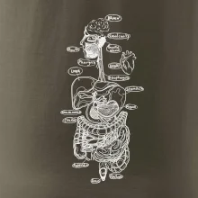 Skica ľudských orgánov