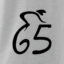 Cyklista oslavuje šesťdesiatpäťku (65)