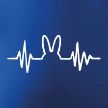 EKG zajac