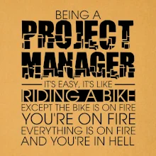 Being A Project Manager - bike