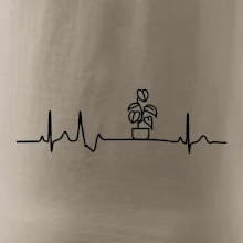 EKG Filodendron EKG Filodendron