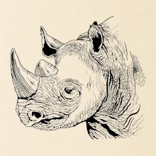 Nosorožec čiernobiely (Pecka design)