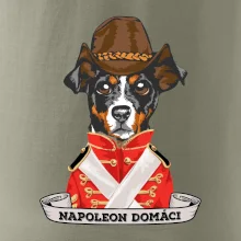 Napoleon domáci kríženec
