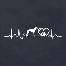 Chrt - Ekg Chrt - Ekg