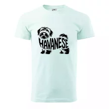 Havanese nápis v tele
