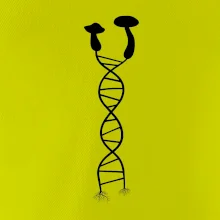 DNA huby