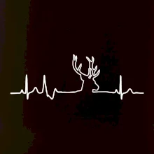 Jeleň EKG Jeleň EKG