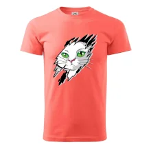 Kočka v roztrženém triku Kočka v roztrženém triku