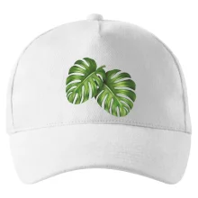 Monstera - dva listy