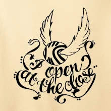 Harry - Zlatá strela