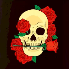 Lebka držiace ružu