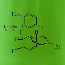 Molekulárna štruktúra Morfín